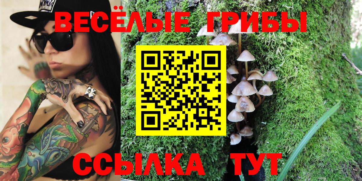 Дзержинск  Псилоцибиновые грибы GOLDEN TEACHER  Вход с VPN 
